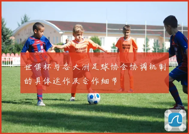 世俱杯与各大洲足球协会协调机制的具体运作及合作细节