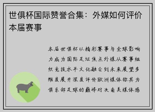 世俱杯国际赞誉合集：外媒如何评价本届赛事