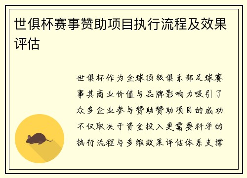 世俱杯赛事赞助项目执行流程及效果评估